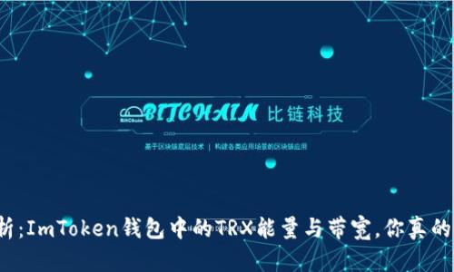 深度解析：ImToken钱包中的TRX能量与带宽，你真的了解吗？