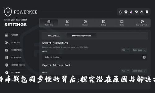 比特币钱包同步慢的背后：探究潜在原因与解决方案