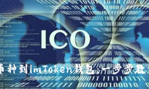 轻松添加币种到imToken钱包：一步步教你快速上手