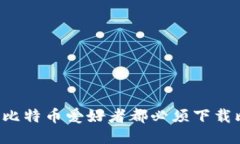 为什么每个比特币爱好者