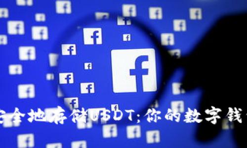 如何安全地存储USDT：你的数字钱包指南