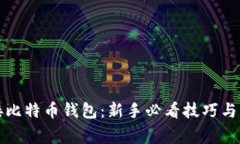 如何安全连接比特币钱包