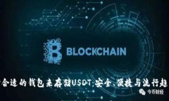 如何选择合适的钱包来存