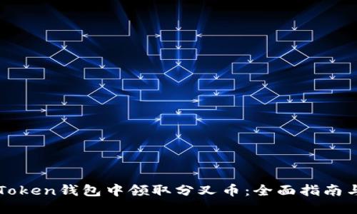 如何在imToken钱包中领取分叉币：全面指南与实践技巧