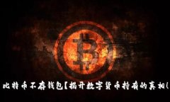 比特币不存钱包？揭开数