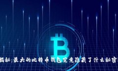 揭秘：最大的比特币钱包