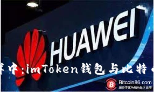 在数字货币的海洋中：imToken钱包与比特币钱包的对比之旅