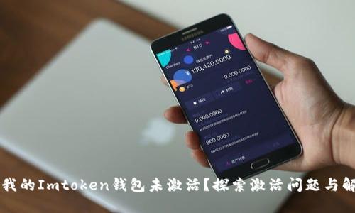 为什么我的Imtoken钱包未激活？探索激活问题与解决方案