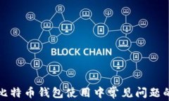如何解决比特币钱包使用