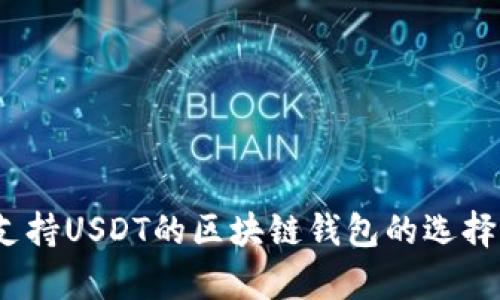 全面解析：支持USDT的区块链钱包的选择与使用指南