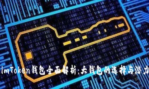 imToken钱包全面解析：大钱包的选择与潜力