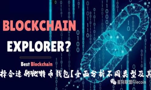 如何选择合适的比特币钱包？全面分析不同类型及其优缺点
