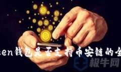  ImToken钱包是否支持币安链