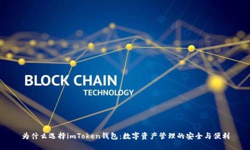为什么选择imToken钱包：数字资产管理的安全与便利