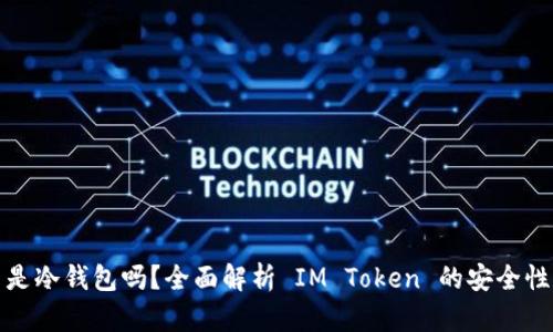 IM Token 是冷钱包吗？全面解析 IM Token 的安全性与使用场景