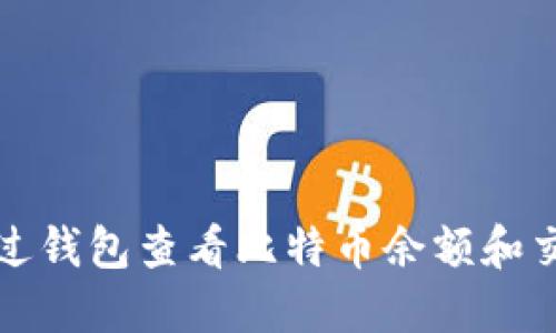 如何通过钱包查看比特币余额和交易记录