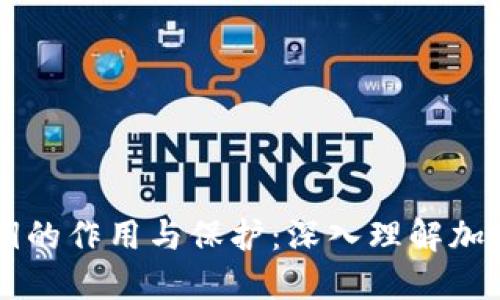 IM钱包私钥的作用与保护：深入理解加密货币安全