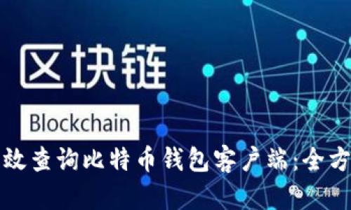 如何有效查询比特币钱包客户端：全方位指南