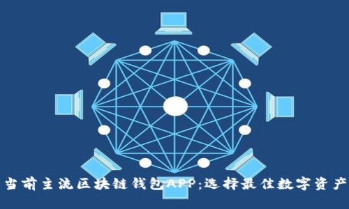 全面解析当前主流区块链钱包APP：选择最佳数字资产管理工具