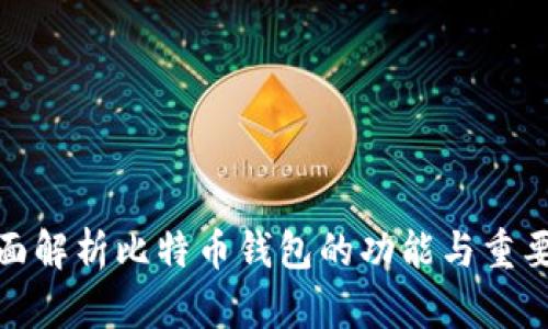 全面解析比特币钱包的功能与重要性