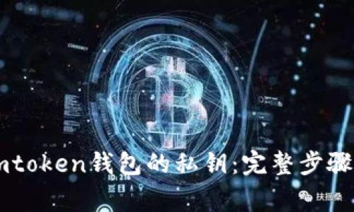 如何查看Imtoken钱包的私钥：完整步骤与注意事项