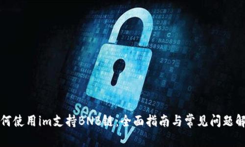 如何使用im支持BNB链：全面指南与常见问题解答